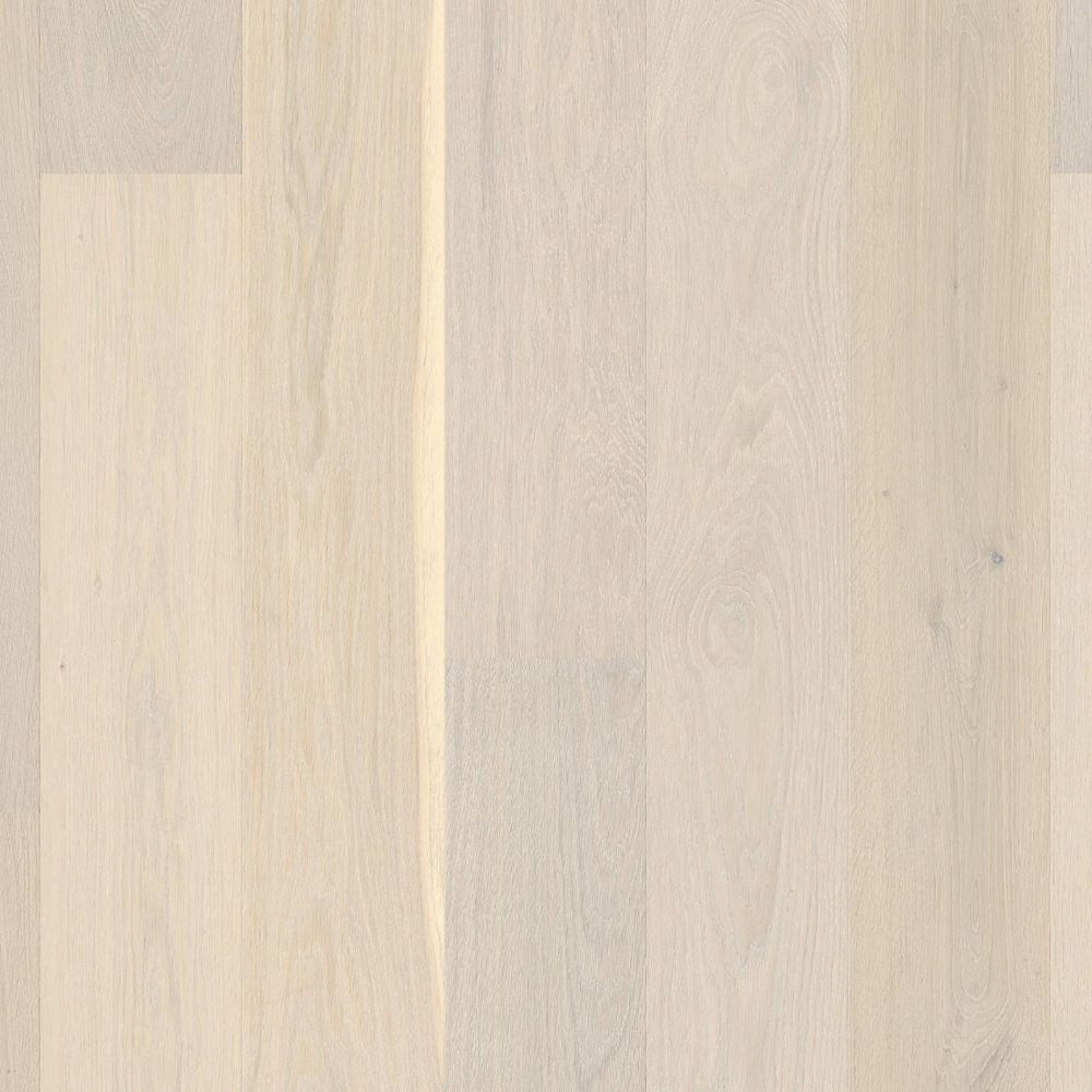 Dąb Andante Live Pure