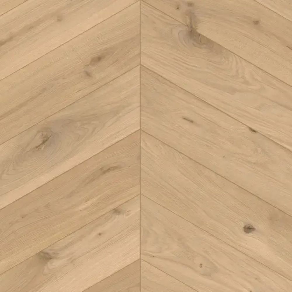 Jodła Francuska Creme Standard