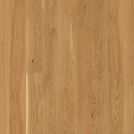 Dąb Andante Live Matt